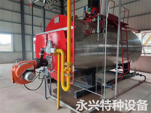 燃?xì)庹羝仩t案例